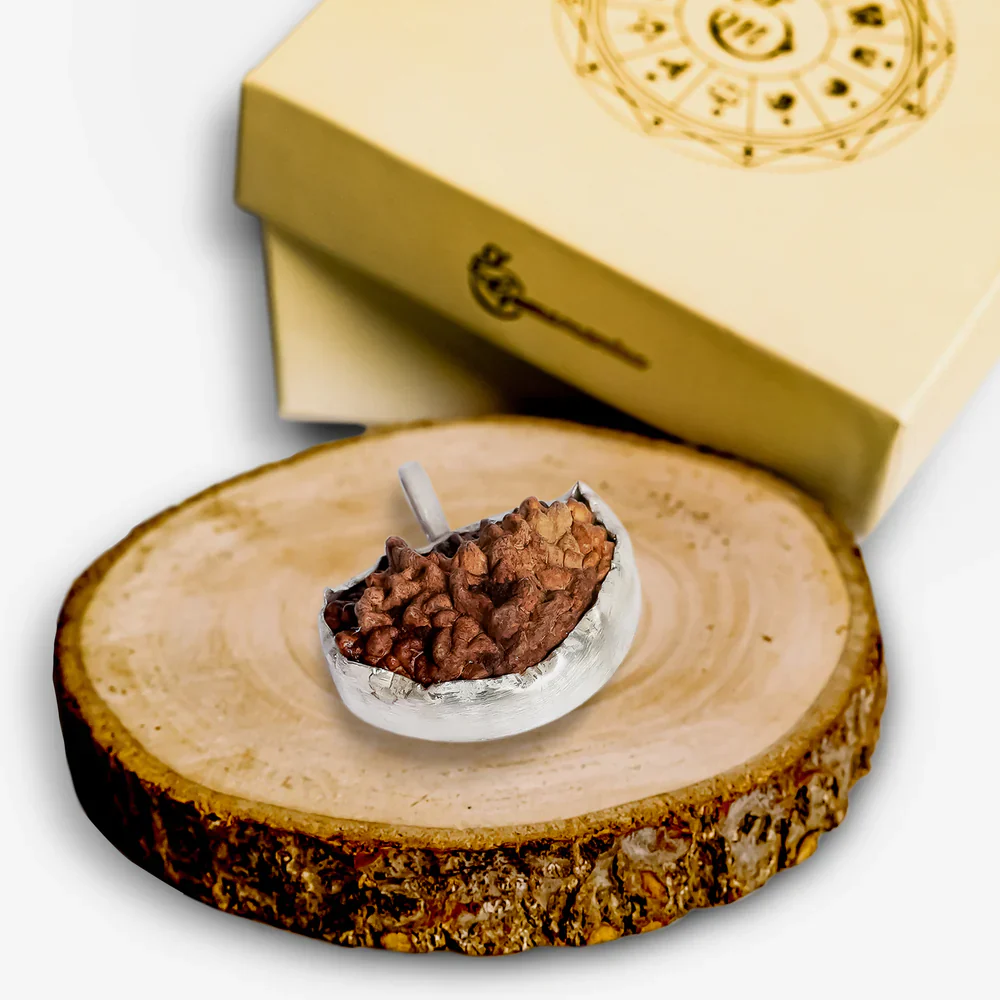 Ek Mukhi Rudraksha